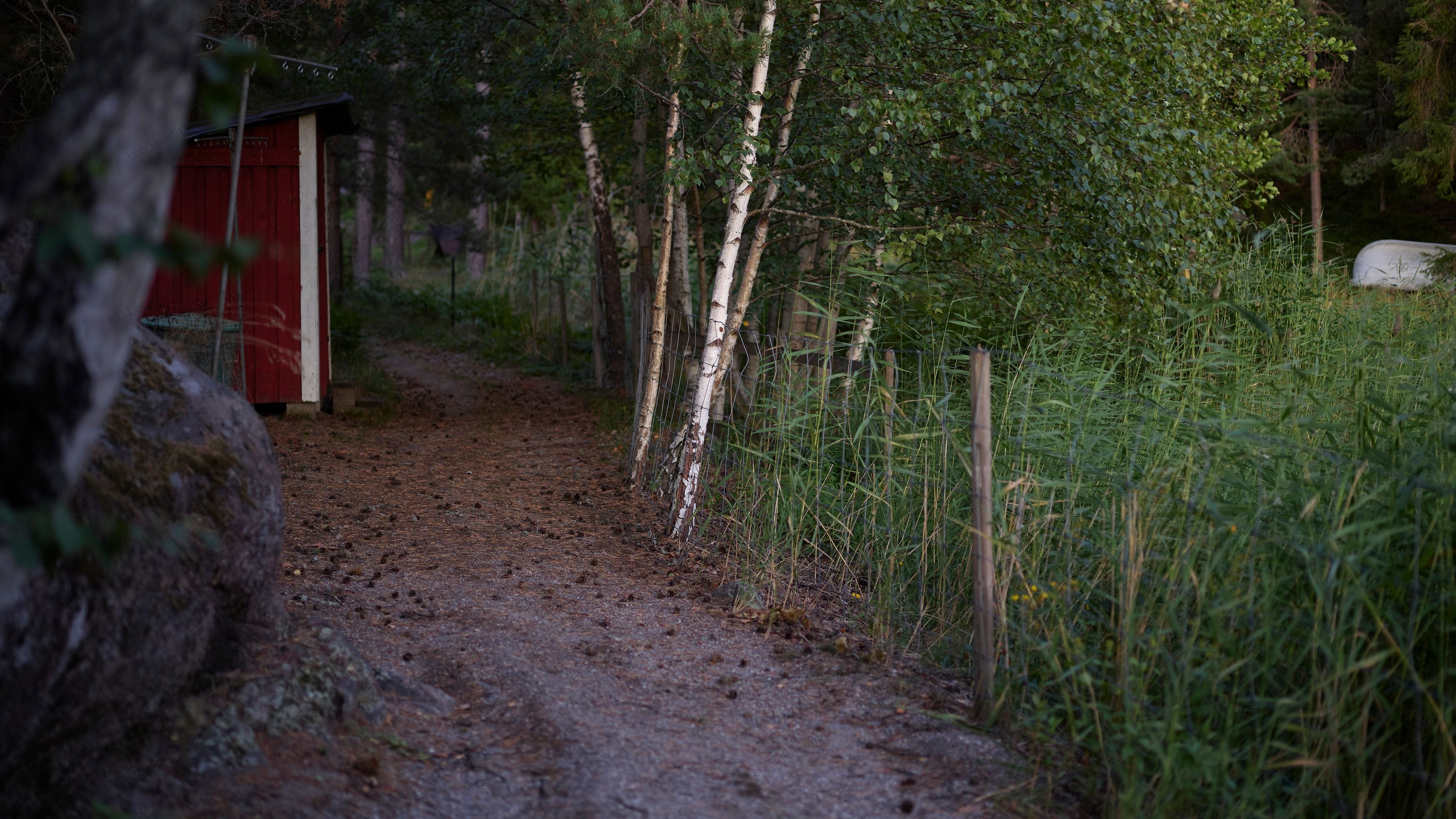 Picture The path