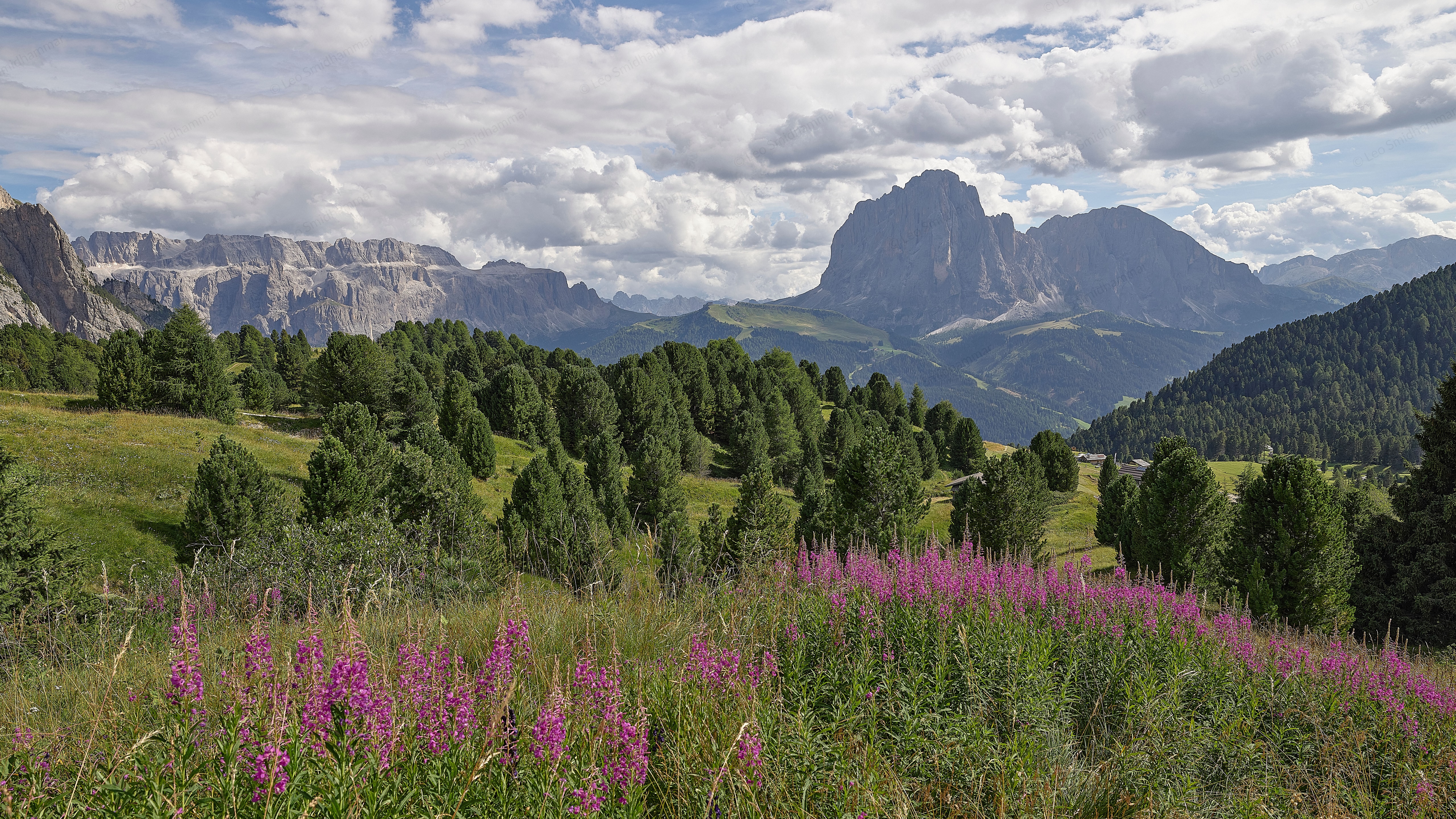 Picture Sasso lungo seen from Col Raiser
