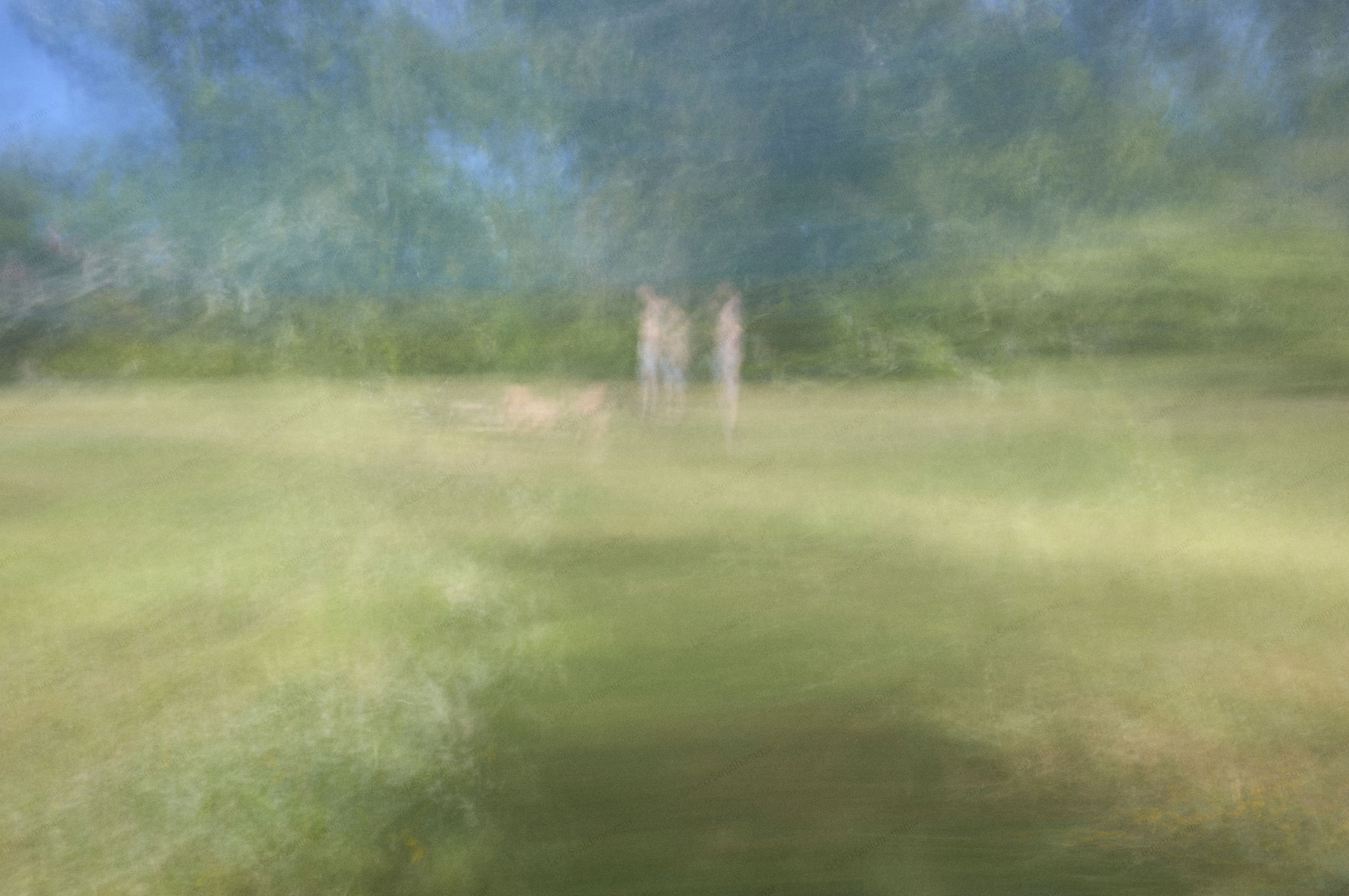 A softly blurred green meadow with two distant figures standing near the edge of a forest.